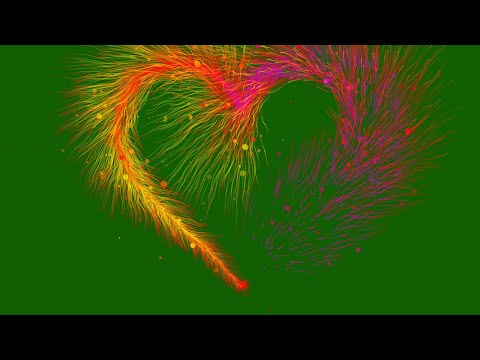 GREEN SCREEN heart locket opening animation effects 