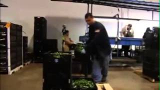 Testimonio IFCO: Frontera