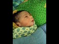 labeeb habibullah