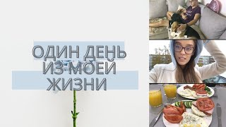 VLOG: ДОМАШНИЙ ВЛОГ. Показываю где учусь. Показываю и знакомлю Вас со своим молодым человеком.