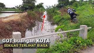 SUMPAH INI GAWAT SPOTNYA! Mancing nemu rombongan ikan yang mau naik ke got kota