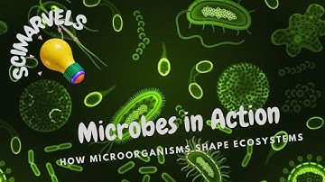 Microbes in Action: How Microorganisms Shape Ecosystems