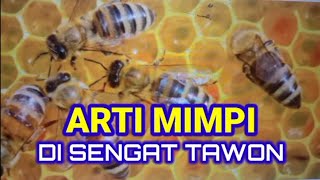 arti mimpi di sengat tawon | arti mimpi di sengat lebah