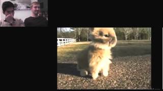 Don't Laugh: Gifs with Sound (Vinh vs Kenny)
