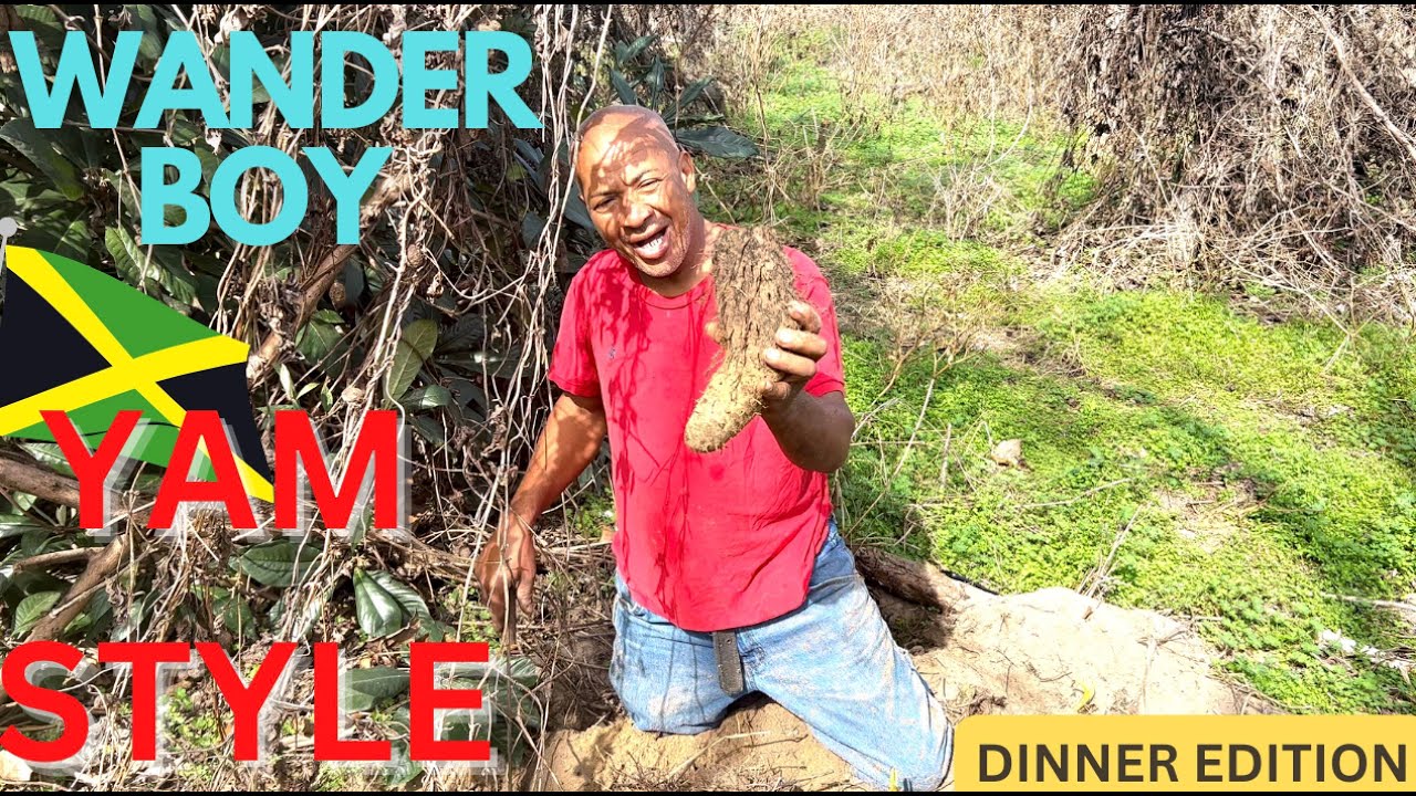 🇯🇲🇯🇲 Jamaican Dinner Outdoor cooking Straight from the back yard