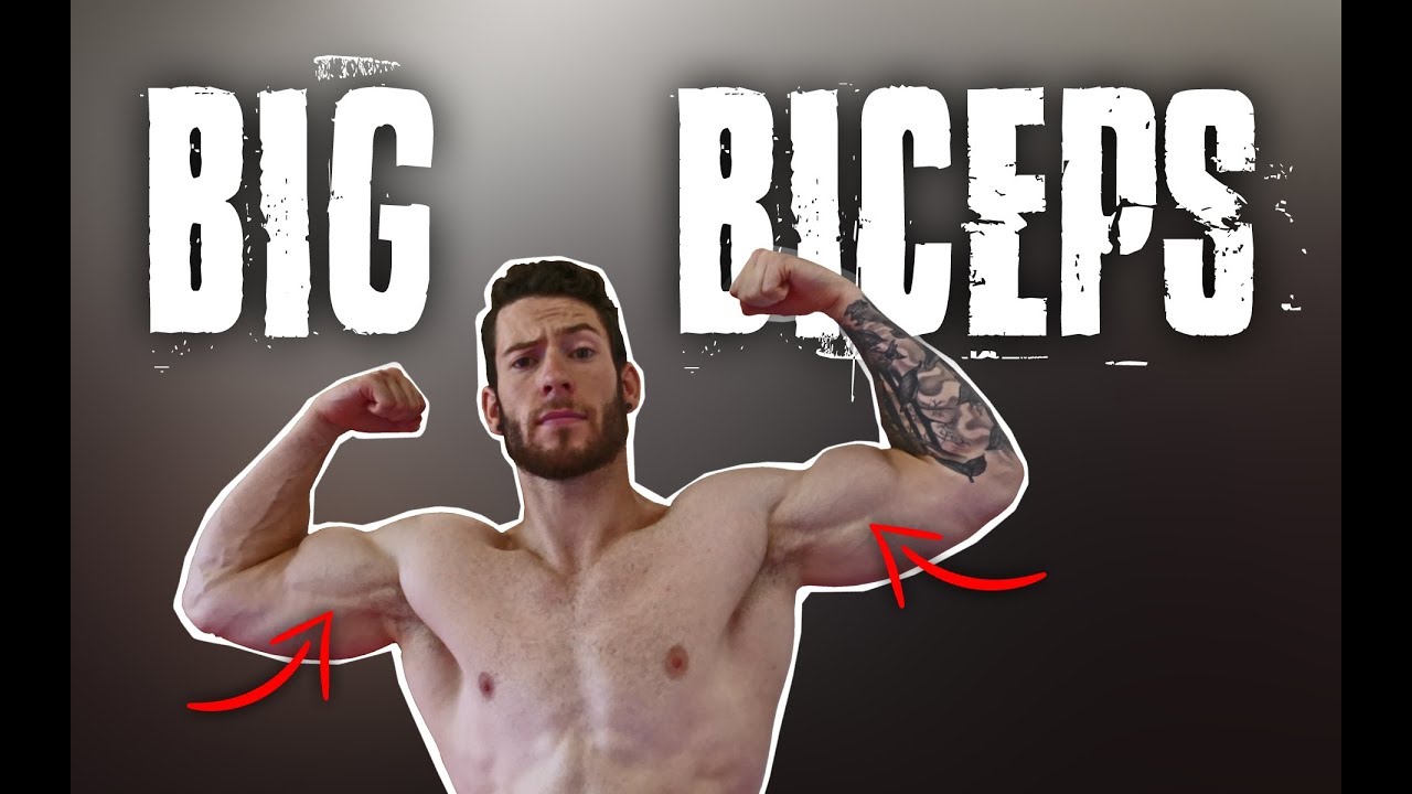 BIG BICEPS CALISTHENICS RING EXERCISE GYMNASTIC RINGS YouTube