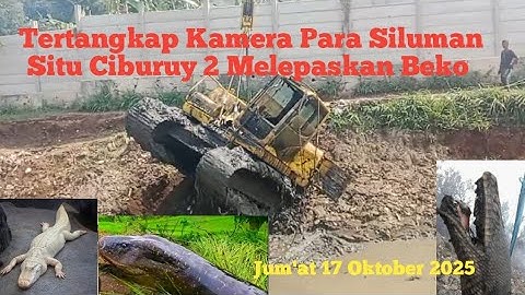 Detik Detik 3 Siluman Melepaskan Beko Yg Terperosok di Situ Ciburuy 2 Padalarang Bandung Barat #kdm 