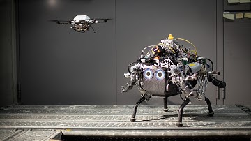 Collaborative Navigation for Flying and Walking Robots