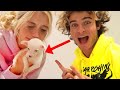 SURPRISING MY GIRLFRIEND WITH A PUPPY FOR CHRISTMAS *SHE CRIED*