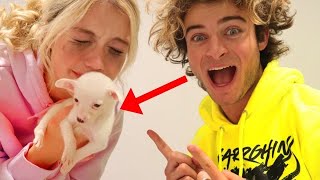 SURPRISING MY GIRLFRIEND WITH A PUPPY FOR CHRISTMAS *SHE CRIED*