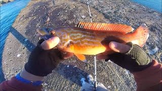 Pêche en Rockfishing - GoPro hero 4