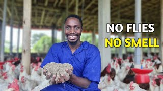 NO SMELL Chicken House | How often should you change the Litter? screenshot 3
