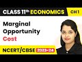 Marginal Opportunity Cost - Introduction | Class 11 Economics