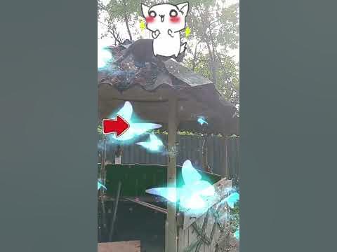 На крише. - YouTube