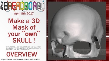 3d printable skull from CT Scan - Overview