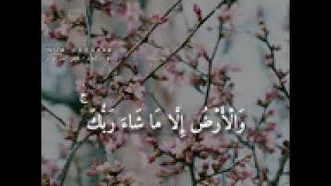 حالات واتس اب للقارئ عمر الدريويز ||| يوم يأتي لا تكلم نفس إلا بإذنه "".. . . ......