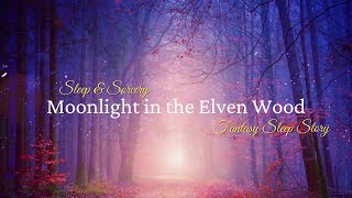 Moonlight in the Elven Wood | High Fantasy Sleep Story | LotR-inspired Sleep Visualization