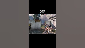 1v4 in Standoff Using DL Q33 Zealot