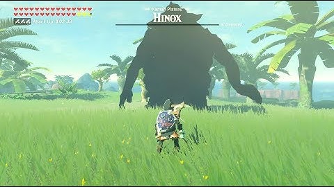 Zelda Breath of The Wild *ONE-HIT KO* Hinox Instant Kill