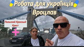 Как найти работу в Польше для украинцев в 2025 году