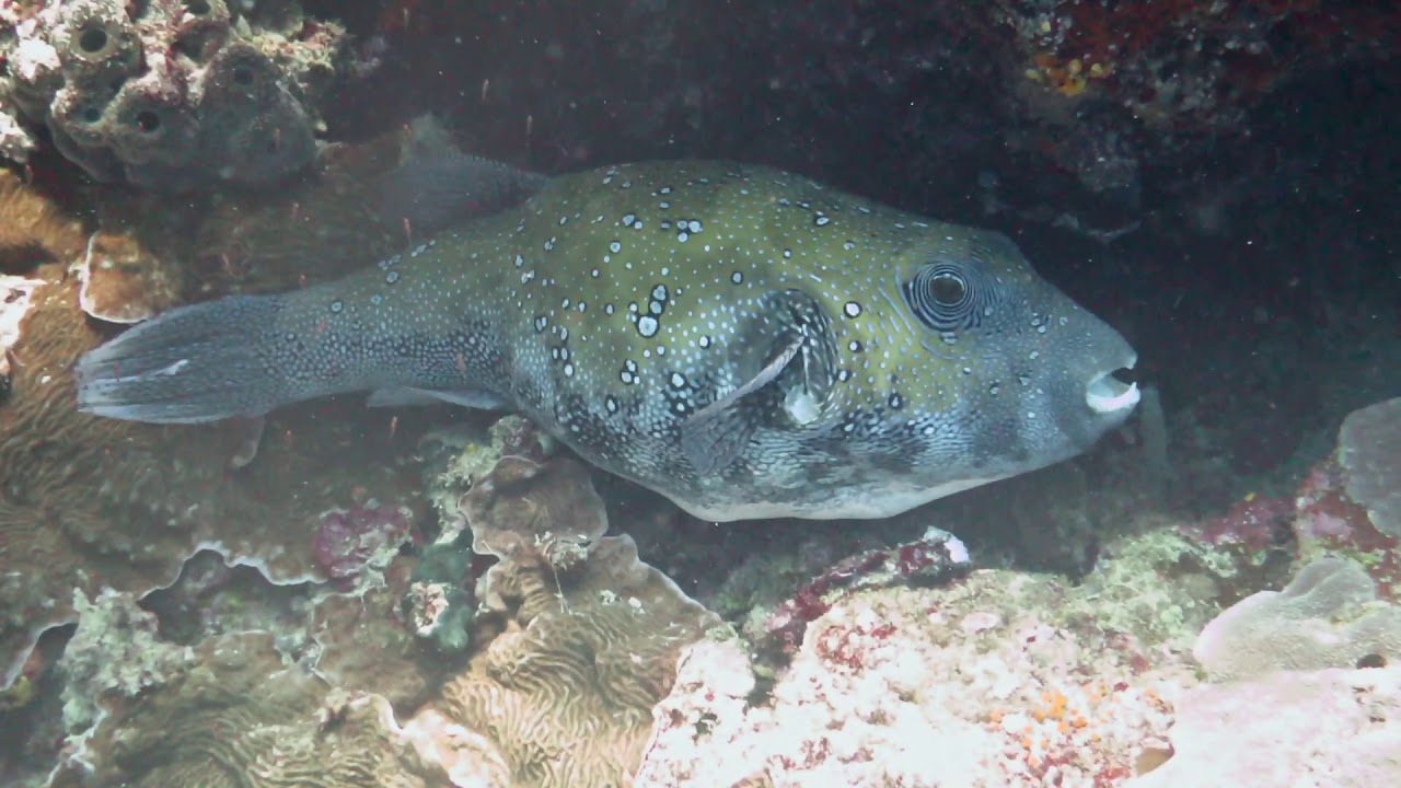 Weda Resort - Sept 2014