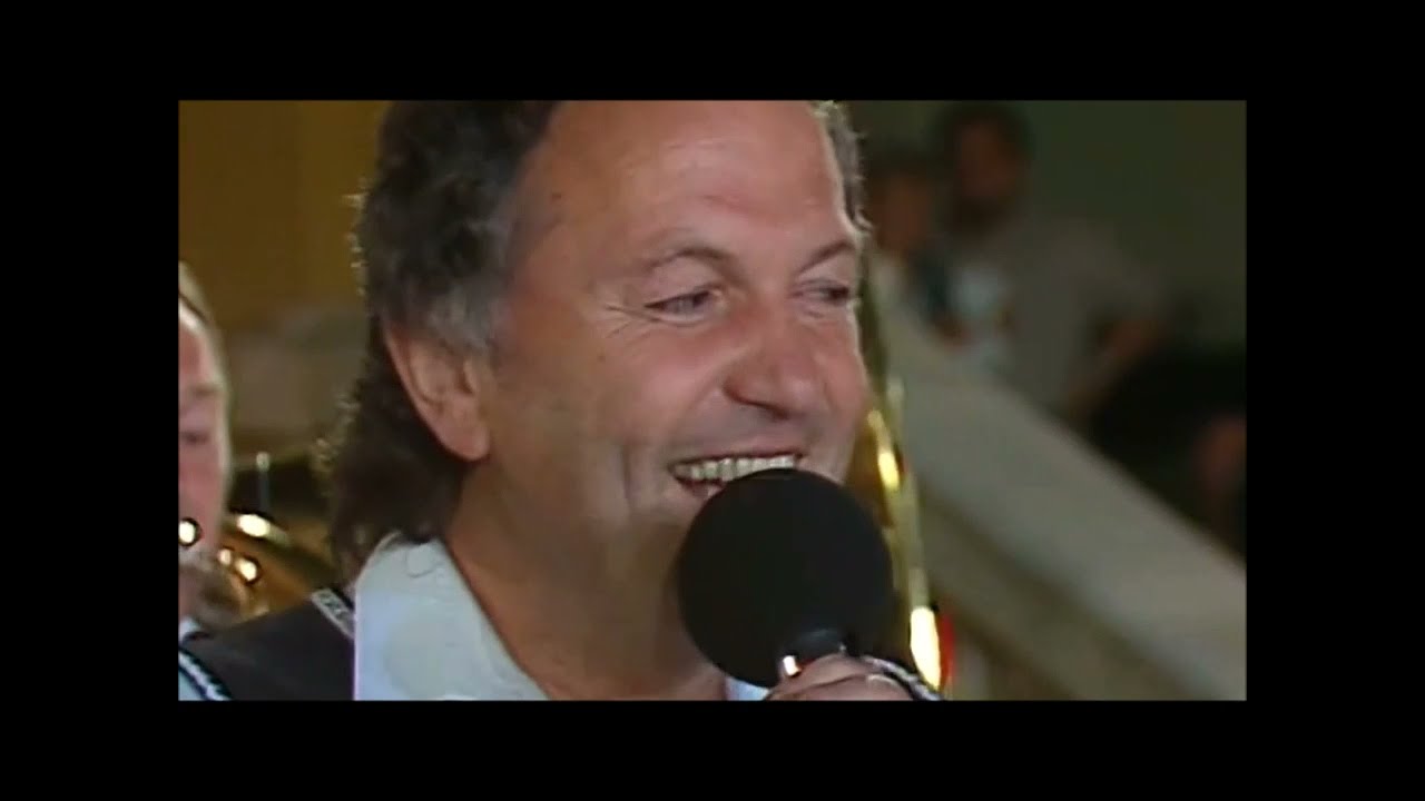 Veselka – Moje česká vlast (1991)