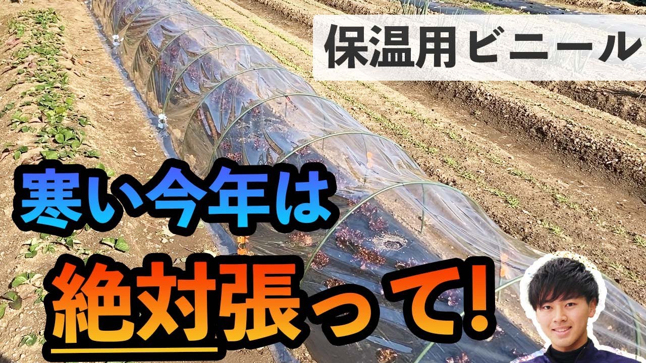 Farmers' best method of installing vinyl for winter insulation