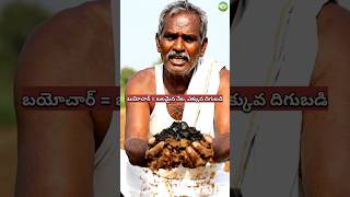 బయోచార్ వాడితే నేల శక్తి పెరుగుతుంది | Soil Health Boost Tip