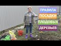 КАК ПРАВИЛЬНО ПОСАДИТЬ ПЛОДОВОЕ ДЕРЕВО