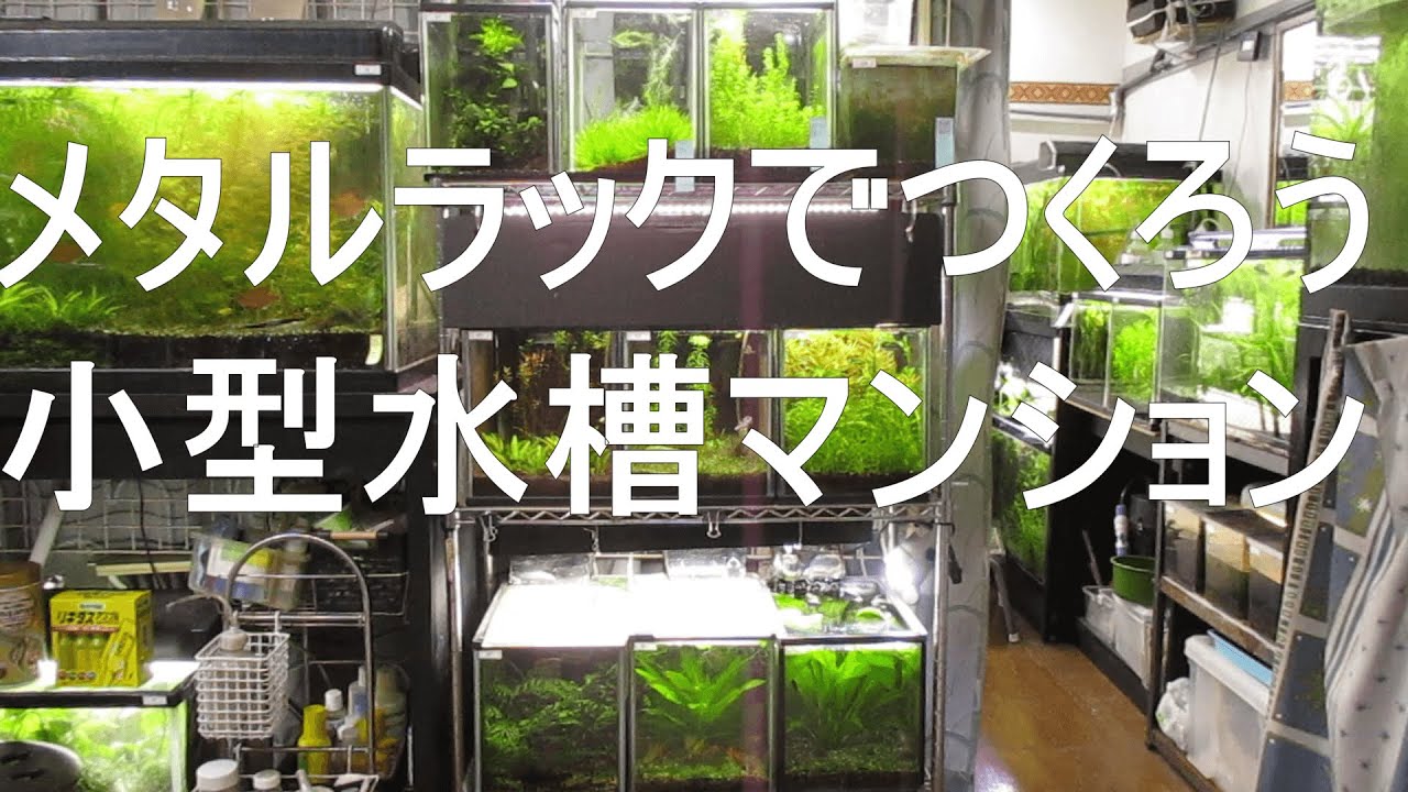 メタルラックで作ろう 小型水槽マンション - YouTube