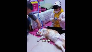 Smart Dog Helped a Tiny Girl Be a Doctor 🐶❤️