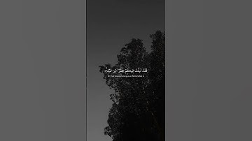 لا إله إلا الله #عبدالرحمن_مسعد #اكتب_شي_تؤجر_عليه #تلاوات #قرآن