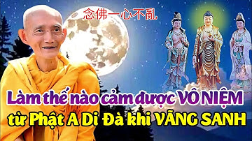 Làm thế nào cảm được vô niệm từ Phật A Di Đà khi vãng sanh? Ht. Thích Giác Khang