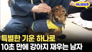 이게 맞나..? 기(氣)하나로 강아지 10초 만에 재우는 남자ㅣKBS TV탐험 놀라운 아시아 060212 방송