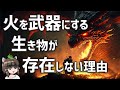 【疑問】火を武器にする生き物が存在しない理由