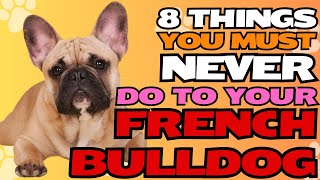 8 Things You Must Never Do to Your French Bulldog🐶