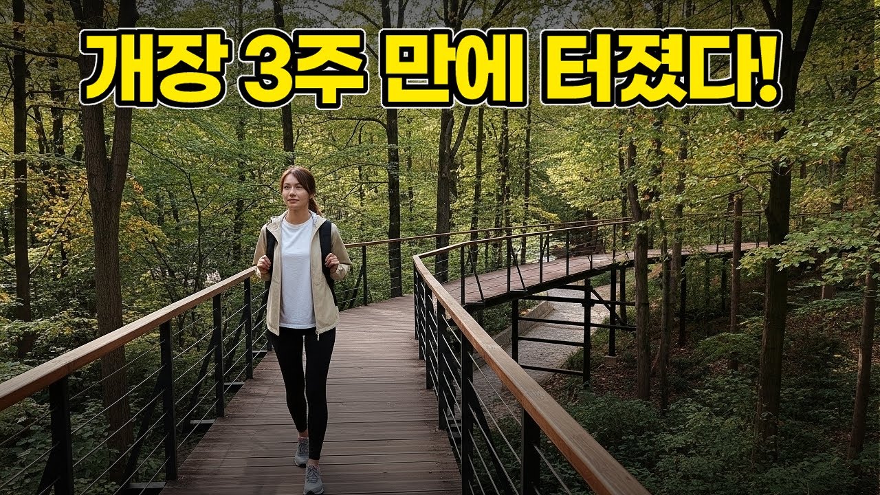 서울 도심에 새로 생긴... 개장 3주 만에 터진 남산 하늘숲길