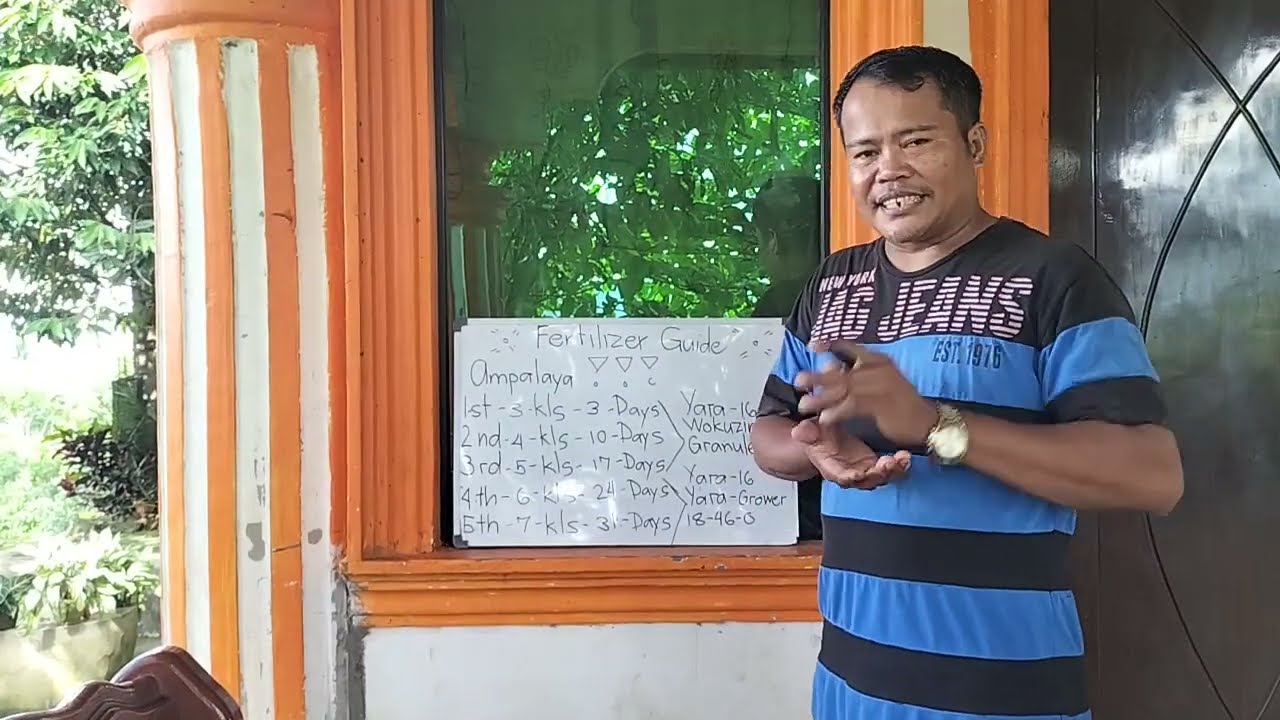 #Fertilizer guide sa Ampalaya Ito napo Ang sagot sa tanong mga ka farmers  thank you All God bless 🙏