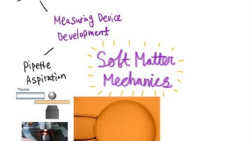 Mechanobiology and Soft Material Laboratory