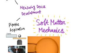 Mechanobiology and Soft Material Laboratory screenshot 1