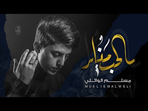 مسلم الوائلي 2020 للحب مناير مشاية مضيف سلطان بني هاشم 
