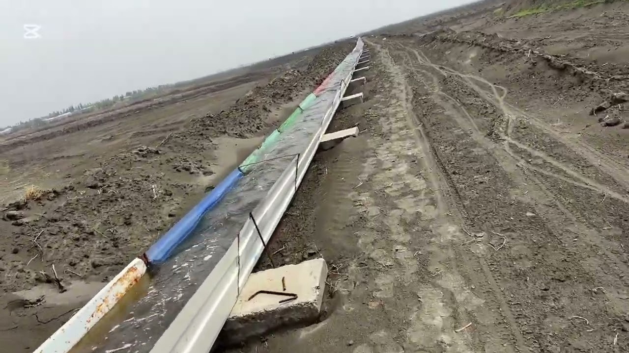 #temer #lato’klar hizmati 