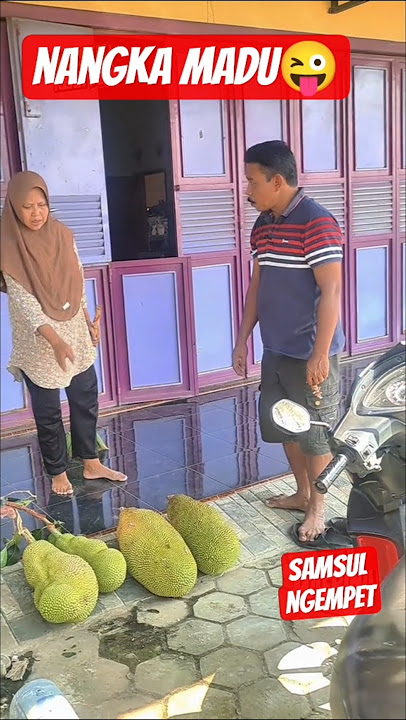 Samsul is irresponsible #comedy