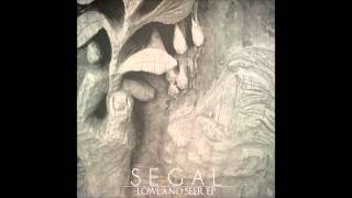 Segal - By Night
