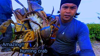 berburu kepiting bakau raksasa dan udang sisa-sisa panen tambak tradisional
