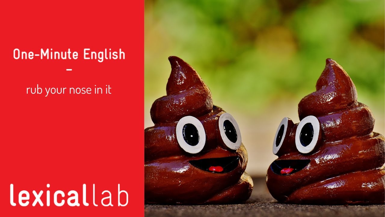 ONEMINUTE ENGLISH rub your nose in it LEARN WITH LEXICAL LAB YouTube