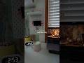 cozy study vlog 🧸#studywithme #studytube #studyvlog #studymotivation #youtubeshorts #study #cozy