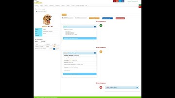 Sistema Veterinaria US - PHP Mysql