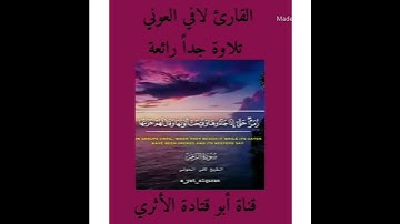 القارئ لافي العوني /سورة الروم/