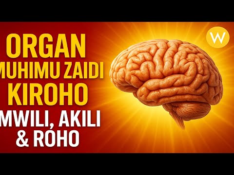 Organ Ya Ajabu Iliyotolewa Na Mungu Kwa Kila Binadamu 